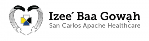 San Carlos Apache Healthcare Corporation